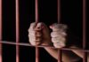 Hands gripping metal prison bars tightly