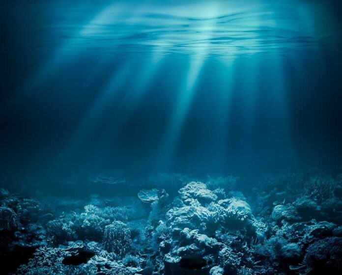 226506523 featured image Sunlight beams illuminating ocean coral reef underwater scene.