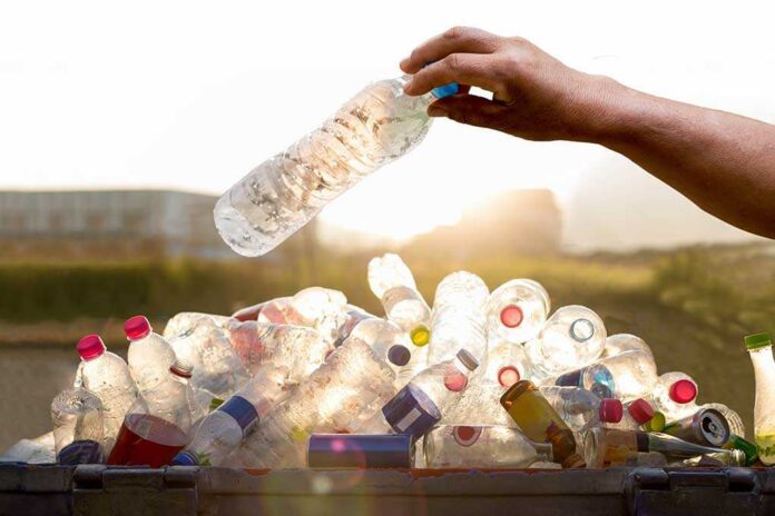 381535849 featured image Hand placing plastic bottle in recycling bin.