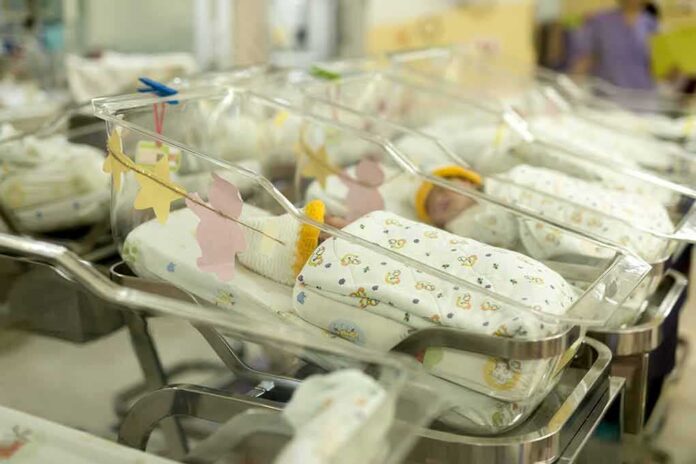 779731516 featured image Newborn babies in a hospital nursery.