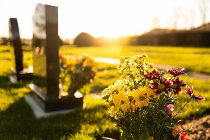 2410951197 featured image Sunlit cemetery with flowers on headstone