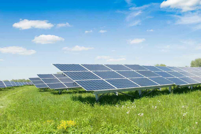Solar panels in a grassy field under blue sky