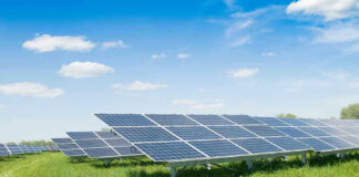 Solar panels in a grassy field under blue sky.