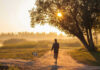 Man walking dog along sunlit path through trees