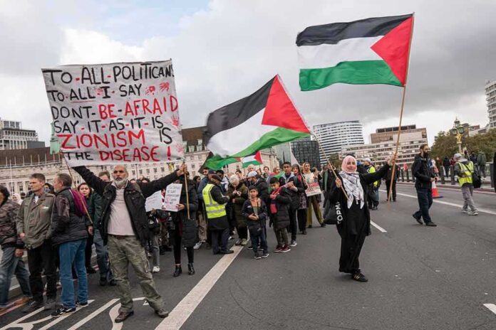 Crowd of protesters holding Palestinian flags and signs during a demonstration