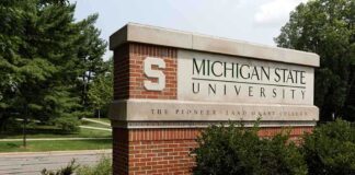 Sign for Michigan State University surrounded by greenery