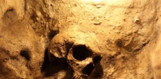 A skull embedded in a rocky surface, illuminated with warm lighting