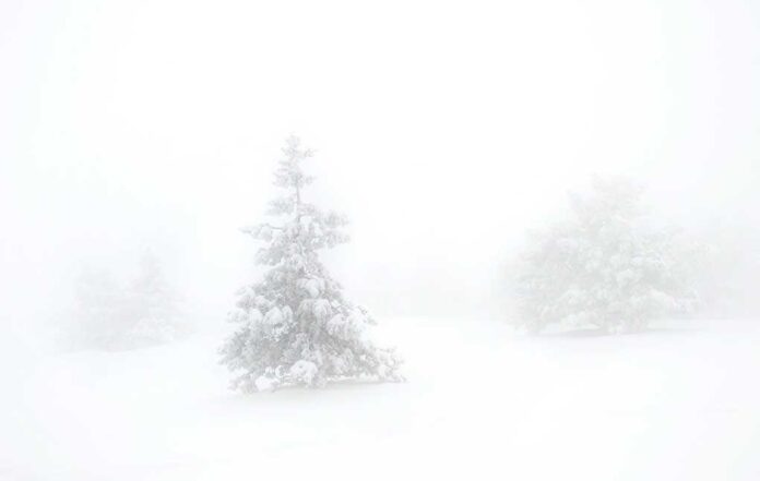 Foggy winter scene with snow-covered trees barely visible