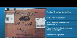 Nationwide Beef Recall Announced - Do Not Eat