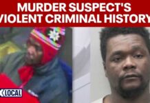 ILLEGAL Immigrant Stabs Woman - 40 Charges DROPPED