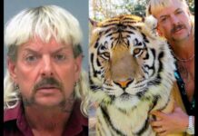 Supreme Court Makes Decision in Tiger King's Case