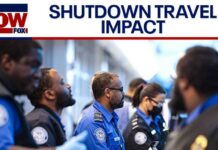 TSA Agents ABANDON Posts - Airports In Chaos