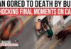Bull GORES Spectator to Death During Festival