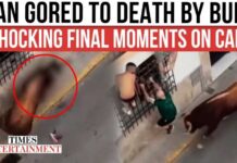 Bull GORES Spectator to Death During Festival