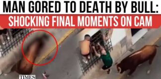Bull GORES Spectator to Death During Festival