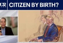 The Amount Of US Births to Illegals In One Year Is STAGGERING