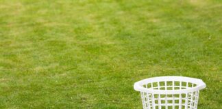 An empty white laundry basket placed on green grass