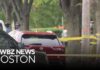 Paroled Shooter Unleashes Chaos—Mass Panic!