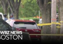 Paroled Shooter Unleashes Chaos—Mass Panic!