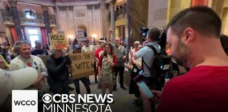 Minnesota's DFL lawmakers stage sit-in after gun violence prevention bill fails in house vote