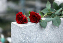 Rock Legend PASSES Aged 94 Red roses on a gray stone surface.