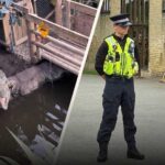 Three-year-old 'critically injured' in crocodile enclosure - what we know so far