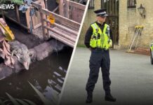Psycho THROWS Toddler Into Crocodile Infested Enclosure! Three-year-old 'critically injured' in crocodile enclosure - what we know so far
