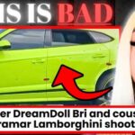 Influencer DreamDoll Bri and Her Cousin Killed in Lambo in Miramar