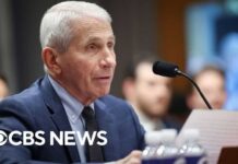 Fauci’s Wife Displays OBSCENE Gesture During Trial Senate committee holds more votes after holding Fauci in contempt of Congress | full video