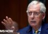 McConnell’s Senate absence is ‘prime example’ of why Congress needs term limits: Marine Corps Vet