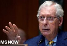 Senator Issues Statement After Being Missing For Months McConnell’s Senate absence is ‘prime example’ of why Congress needs term limits: Marine Corps Vet