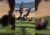 This is Now: Congressional candidate arrested on Maui | Aug. 4, 2026