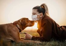 Disturbing Video Captures Woman in BESTIALITY With Dog Woman in mask touching noses with brown dog at sunset