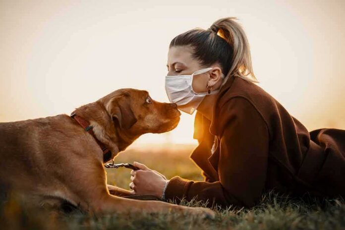shutterstock_1677729985 Woman in mask touching noses with brown dog at sunset