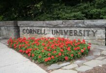 Cornell University stone sign with red flowers