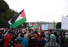 Colosseum Chaos Erupts During Gaza Protest Crowd holding flags and signs outside a fenced government building