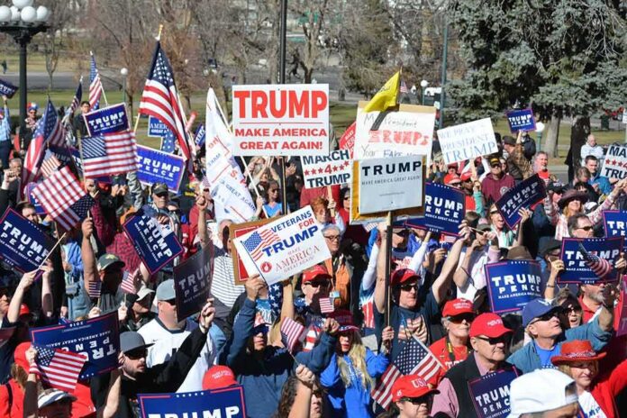 shutterstock_620025338 Tim Teufel, Christian Jones, and Nash the Slash among a crowd at a political rally holding signs and flags