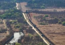 Border fence and patrol road cutting through dry landscape with sparse trees